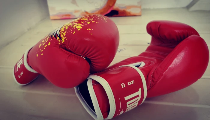 Boxing equipment-glove