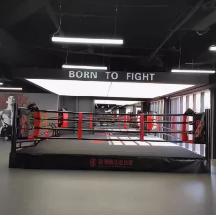 BOXING OCTAGON BOXING OCTAGON
