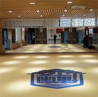 XPE podložka pro box Jodo MMA